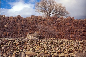 Άποψη αναλημματικού τοίχου αρχαϊκών χρόνων.